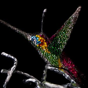 Hummingbird